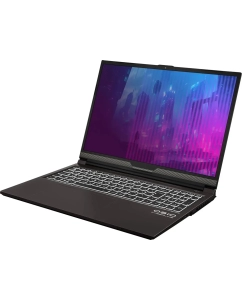 Купить Ноутбук OSIO CyberLine C160i-001 16.1", IPS, Intel Core i5 12600H 1.2ГГц, 12 ядер, 16ГБ 512ГБ SSD, RTX 3050 - 6 ГБ, без ОС, коричневый  в E-mobi