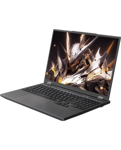 Купить Ноутбук Maibenben X16F-R98957T0GGRLG4E10-Linux 16" QHD 300Hz, AMD R9-8940HX, 16Gb, 1Tb SSD, NVidia RTX5070Ti 12Gb серый  в E-mobi