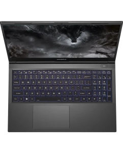 Купить Ноутбук Colorful X15 XS-HE55016512B-1EAA (A10207000035-Win11)Intel Core i5-12450H/16Gb (2*8 D4)/SSD512Gb/RTX3050 4Gb (95W)15.6"/IPS/FHD/1920x1080/Gray  в E-mobi