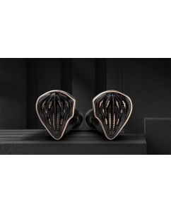 Купить Наушники Hidizs MS5 Black (80003691)  в E-mobi