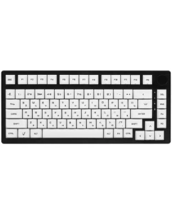 Купить Проводная/беспроводная клавиатура ARDOR GAMING AG-ZD-Pa83GY-BL-HS-G-Sub белый, черный  в E-mobi