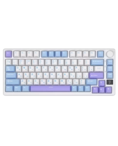 Купить Клавиатура RK Royal Kludge RK-M75  в E-mobi