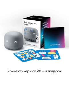Купить Умная колонка VK Капсула Нео с Марусей Grey (VKSP11GY)  в E-mobi