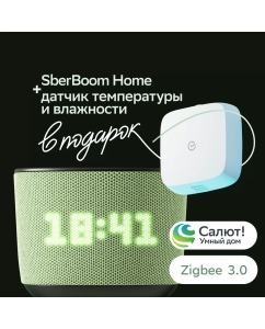 Купить Набор Sber умная колонка SberBoom Home Фисташковый и умный датчик температуры и влажности  в E-mobi