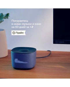 Купить Набор Sber умная колонка SberBoom Home Фисташковый и умный датчик температуры и влажности  в E-mobi
