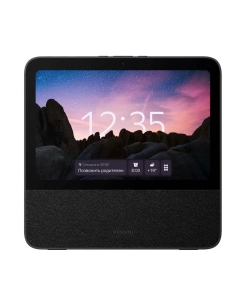 Купить Портативная колонка Xiaomi Smart Display 10R Black (QBH4254RU) в E-mobi