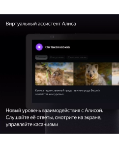 Купить Умная колонка Яндекс Станция Дуо Макс - с Алисой, с Zigbee черная  в E-mobi