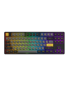 Купить Игровая клавиатура AKKO 5087B Plus Black&Gold 3 Modes RGB Hot Swap в E-mobi