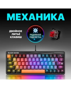 Купить Проводная игровая клавиатура Defender Black Raven GK-417 Gray (45416)  в E-mobi