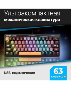 Купить Проводная игровая клавиатура Defender Black Raven GK-417 Gray (45416)  в E-mobi