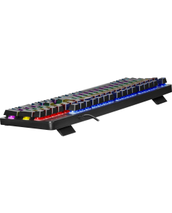 Купить Проводная игровая клавиатура Defender Reborn GK-165DL Black (45165)  в E-mobi