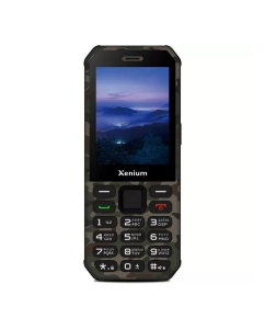 Купить Мобильный телефон Xenium X300 (CTX300GC/00) в E-mobi