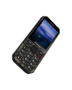 Купить Мобильный телефон Xenium X300 (CTX300GC/00)  в E-mobi