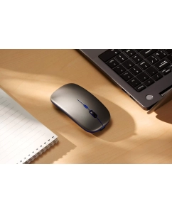 Купить Беспроводная мышь Accesstyle M204-ORBAL серый  в E-mobi