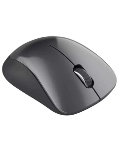 Купить Беспроводная мышь CANYON CNE-CMSW11B Black  в E-mobi