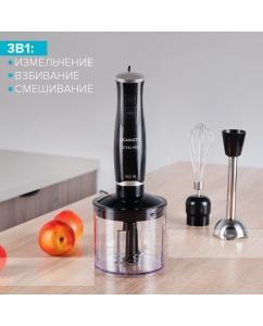 Купить Погружной блендер Scarlett SC-HB42F08 черный  в E-mobi