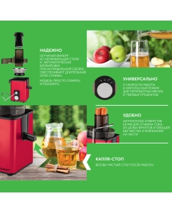 Купить Соковыжималка Scarlett SC-JE50S49  в E-mobi