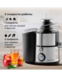Купить Соковыжималка центробежная GALAXY LINE GL0809 1200 Вт серебристый  в E-mobi