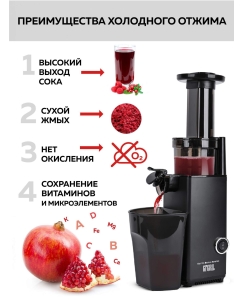 Купить Соковыжималка шнековая GFGRIL GF-J10 130 Вт Black  в E-mobi