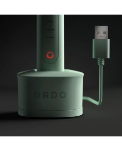 Купить Электрическая зубная щетка ORDO Sonic+ SP2000 зеленый  в E-mobi