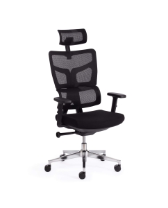 Купить Кресло компьютерное офисное на колесиках ортопедическое Tetchair MESH черный в E-mobi
