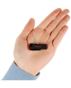 Купить Флешка SanDisk Cruzer Blade 32ГБ Black (SDCZ50-032G-B35)  в E-mobi