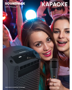 Купить Портативная колонка Soundmax SM-PS4427 Black  в E-mobi