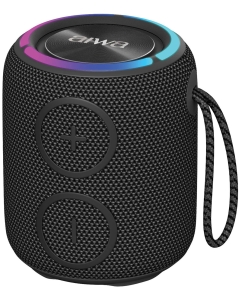 Купить Портативная колонка AIWA PAS-H100 Black (4895227625237) в E-mobi