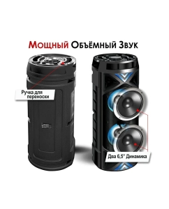 Купить Портативная колонка Ginzzu GM-209 Black  в E-mobi