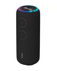 Купить Портативная колонка AIWA PAS-H300, black в E-mobi