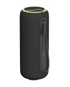 Купить Портативная колонка AIWA PAS-H300, black  в E-mobi