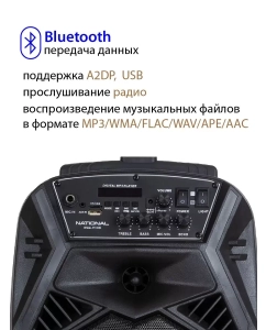 Купить Портативная колонка National NSM-V100  в E-mobi