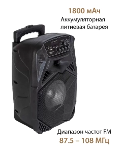 Купить Портативная колонка National NSM-V100  в E-mobi