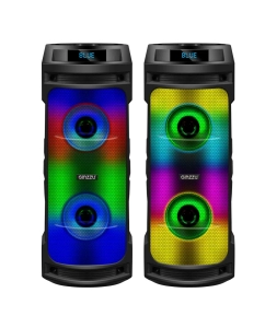 Купить Музыкальный центр Ginzzu GM-219 Black  в E-mobi