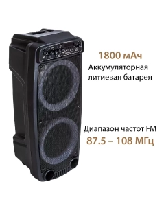 Купить Портатиная колонка  National NSM-V150  в E-mobi