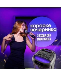 Купить Портативная колонка Aiwa CAS-660 Black  в E-mobi