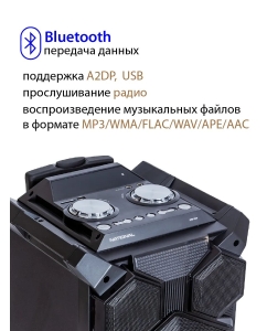 Купить Портатиная колонка  National NSM-V450  в E-mobi