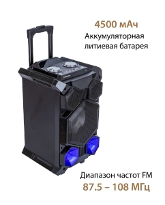 Купить Портатиная колонка  National NSM-V450  в E-mobi