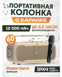 Купить Портативная колонка NowGo С2K Karaoke Beige в E-mobi