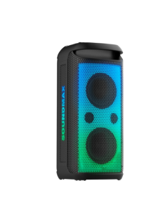 Купить Портативная колонка Soundmax SM-MS4209 Black в E-mobi