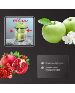 Купить Соковыжималка центробежная Zigmund & Shtain EJ-753 900 Вт серебристый, черный  в E-mobi