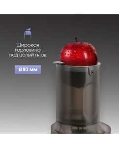 Купить Соковыжималка шнековая Zigmund &amp; Shtain ESJ-771 500 Вт черный  в E-mobi