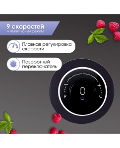 Купить Блендер Zigmund &amp; Shtain BS-446 D черный  в E-mobi