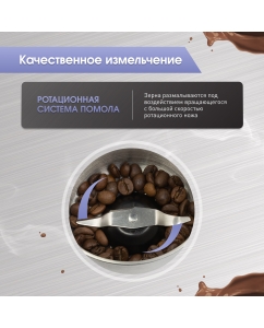 Купить Кофемолка Zigmund &amp; Shtain ZCG-10 серебристый, серый  в E-mobi