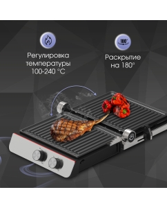 Купить Гриль Zigmund & Shtain ZEG-926 серебристый, черный  в E-mobi