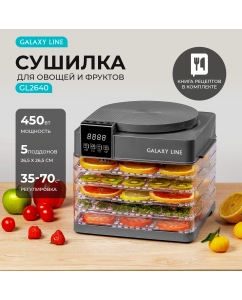 Купить Сушилка для овощей и фруктов GALAXY LINE GL2630 серая в E-mobi