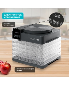 Купить Сушилка для овощей и фруктов GALAXY LINE GL2630 серая  в E-mobi