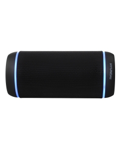 Купить Портативная колонка HYUNDAI H-PAC380 Black в E-mobi