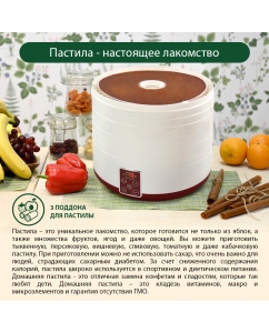 Купить Сушилка для овощей и фруктов Marta MT-1878 Vinous Garnet  в E-mobi