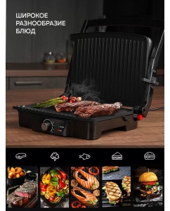 Купить Электрический гриль GFGRIL GF-060 Silver/Black  в E-mobi